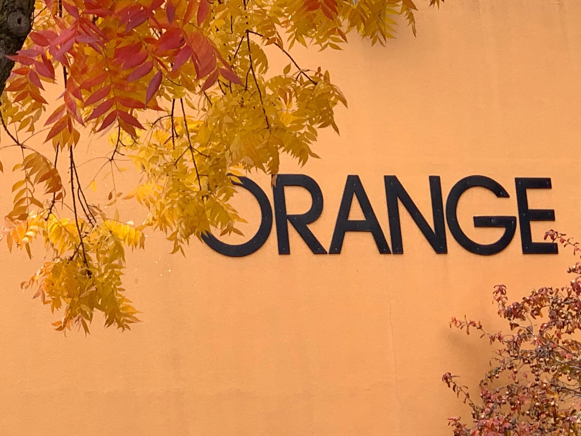 word orange on an orange wall