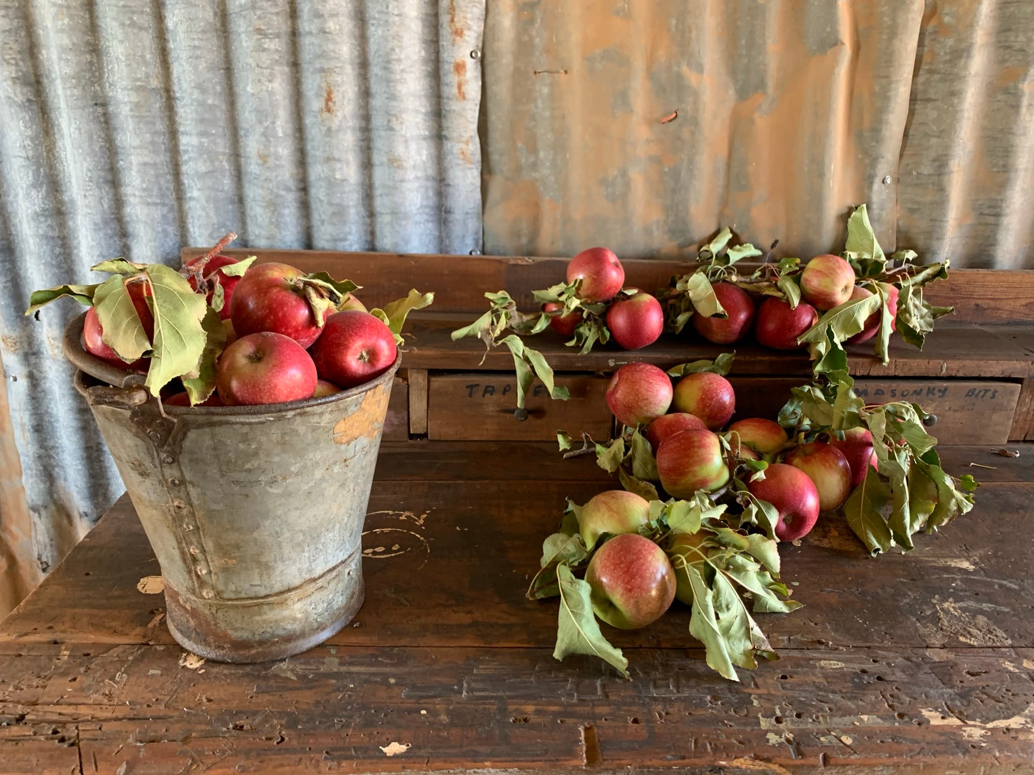 bucket of apples on old wooden desk