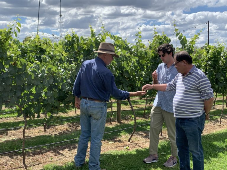 3 men sampling grapes at vineyard