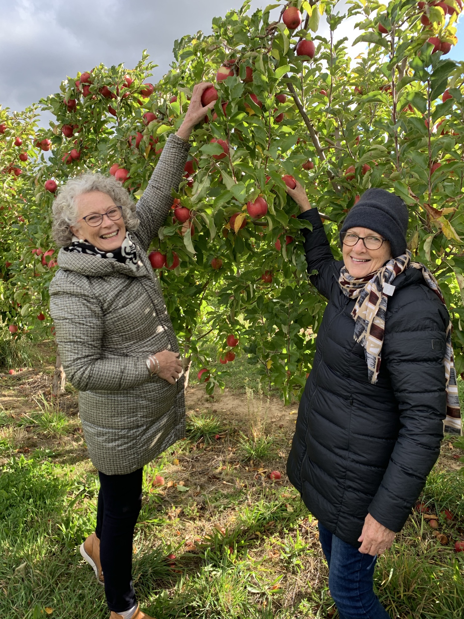 2 ladies picking apples