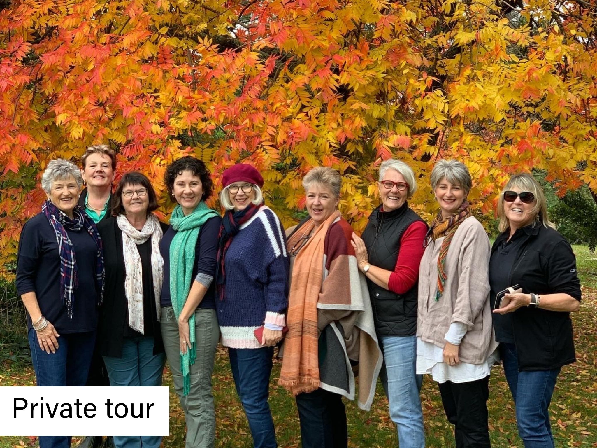 9 ladies standing in front of Autumn tree